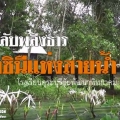 โครงการรักษ์ราชินีสายน้ำ