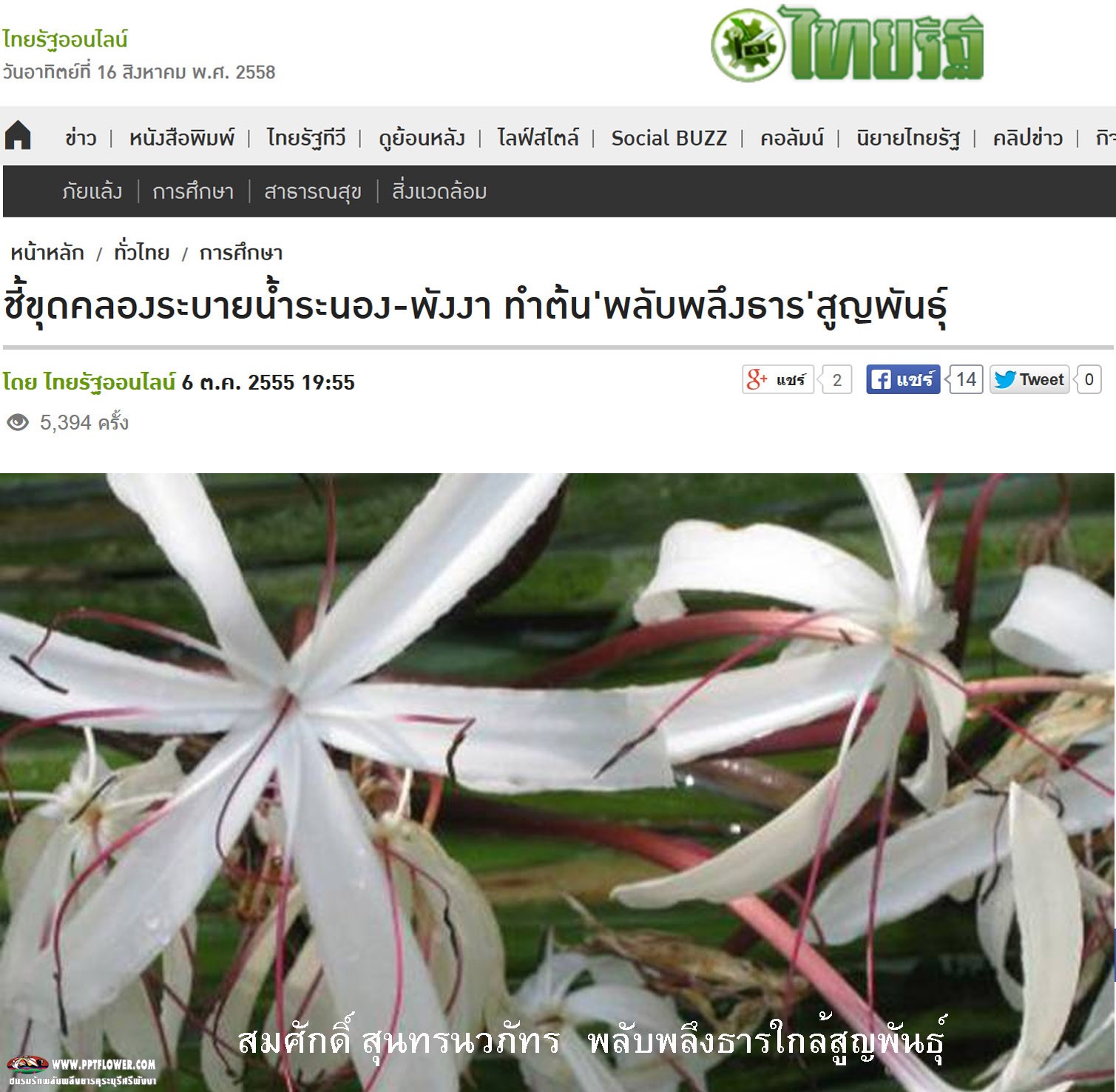 นักอนุรักษ์ชี้ขุดคลองระบายน้ำระนอง-พังงา ทำต้น'พลับพลึงธาร'หายเกลี้ยง