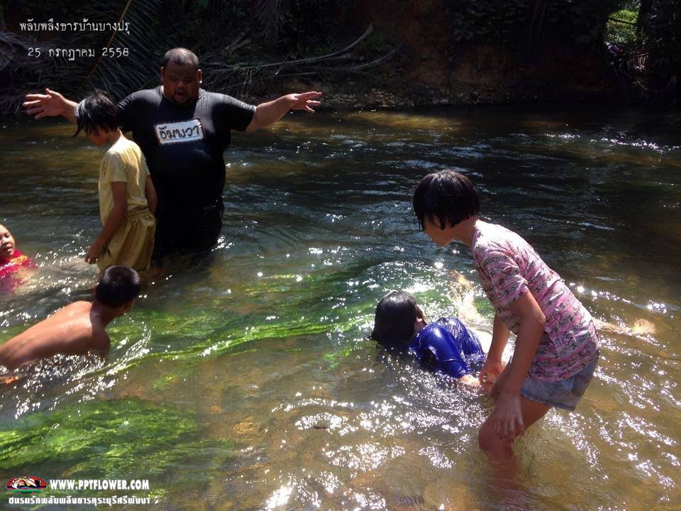 พลับพลึงธารคลองบางปรุ อ.กะเปอร์ จ.ระนอง